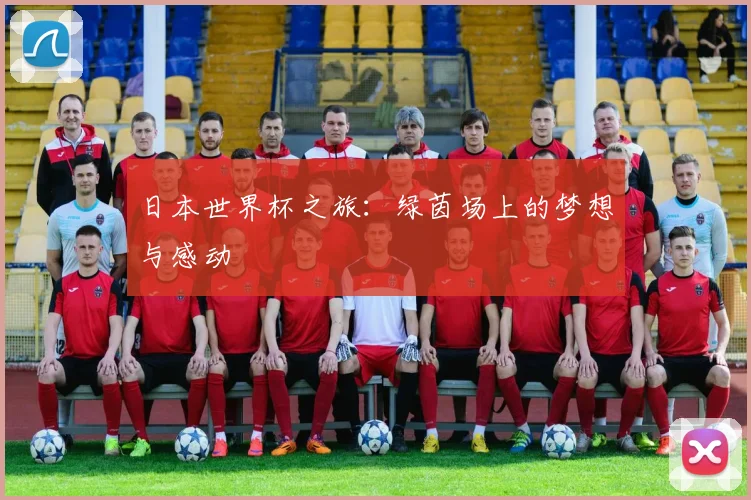日本世界杯之旅：绿茵场上的梦想与感动