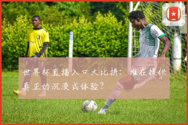 世界杯直播入口大比拼:谁在提供真正的沉浸式体验?