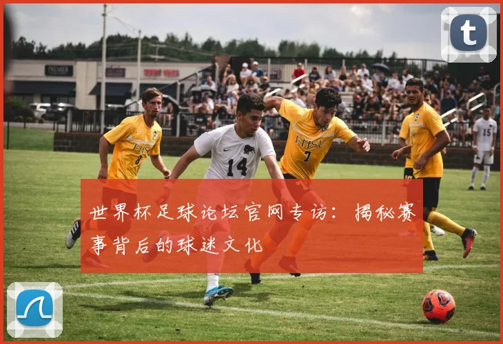 世界杯足球论坛官网专访:揭秘赛事背后的球迷文化