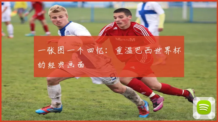 一张图一个回忆:重温巴西世界杯的经典画面